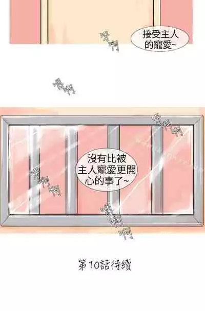 小野貓馴服手冊