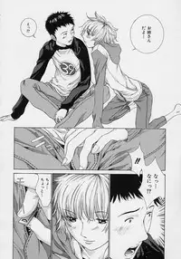 [Harazaki Takuma] Shell