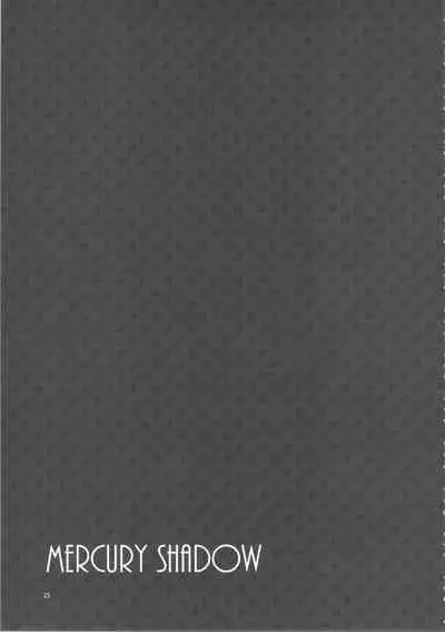 MERCURY SHADOW Soushuuhen+α