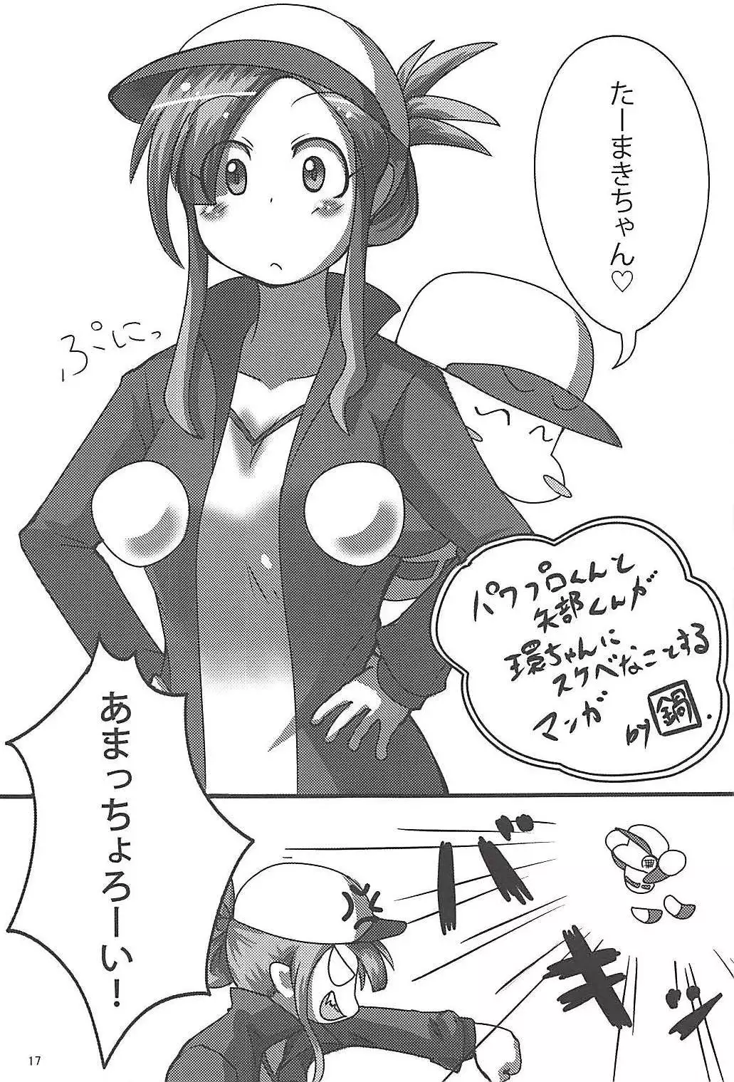 Pawaplus H 2013 Fuyu