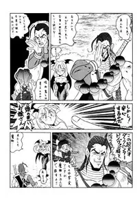 (C48) [METAL BOX (Various)] METAL BOX No.3 Vampire Only (Darkstalkers)