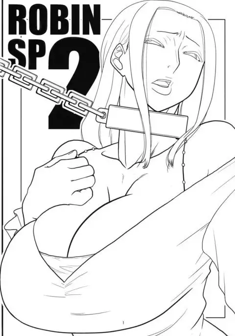 ROBIN SP 2