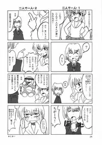 [SUKOBURUMER'S (elf.k)] Hayate ni yoru fukuonsho (Hayate the Combat Butler)