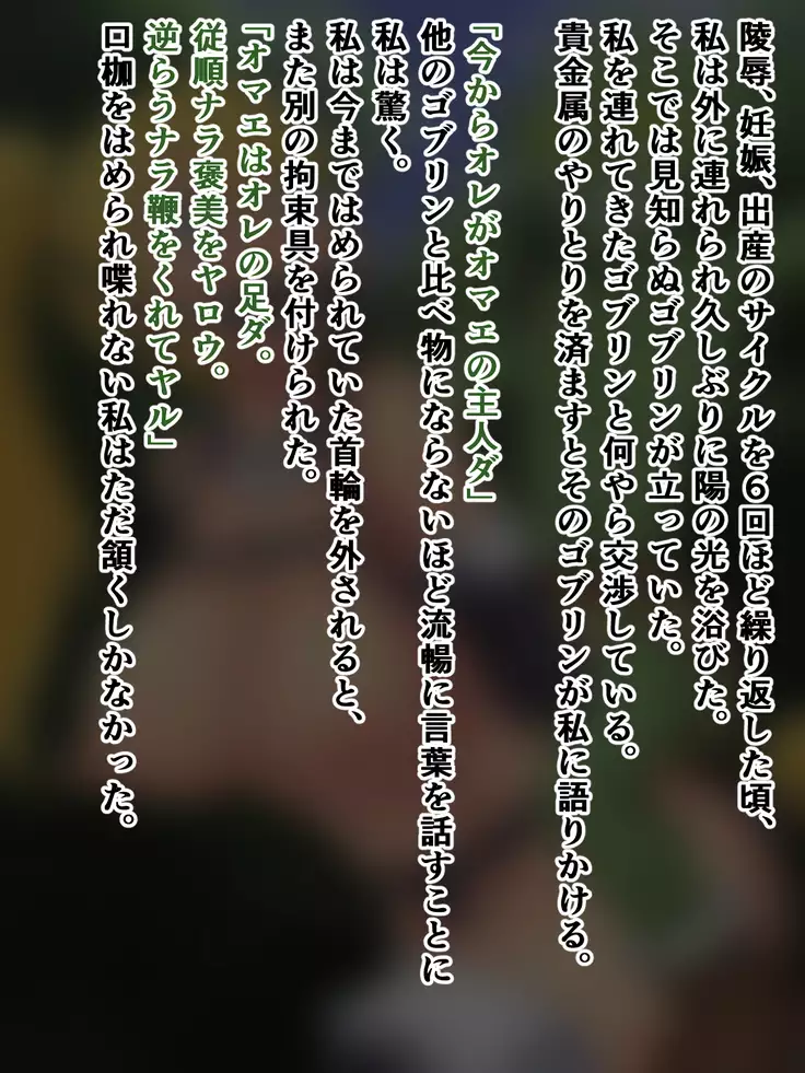 Goblin Prison Investigative Report