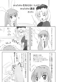 (Reitaisai 6) [eratoho Goudou (Various)] Ijou Keiken +1 - Abnormal Experience Plus One (Touhou Project)