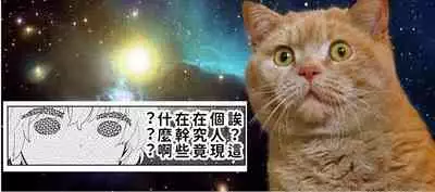 [Shiina] Noraneko Shoujo to no Kurashikata | 與野貓少女一起生活的方法 Ch. 22-31 [Chinese] [禁漫漢化組]