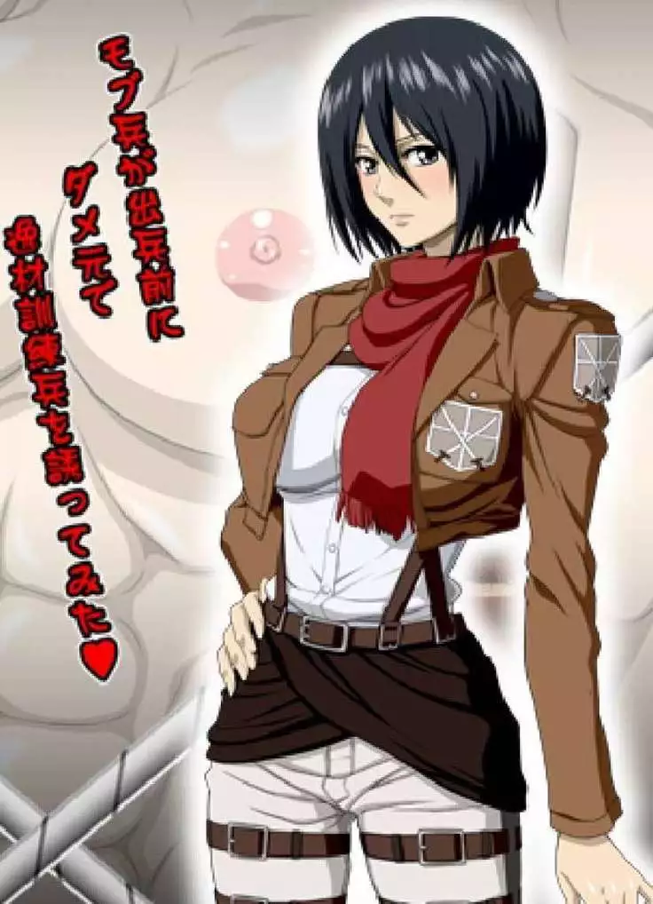 Shingeki No Kyojin - Nel-Zel Formula – Mikasa