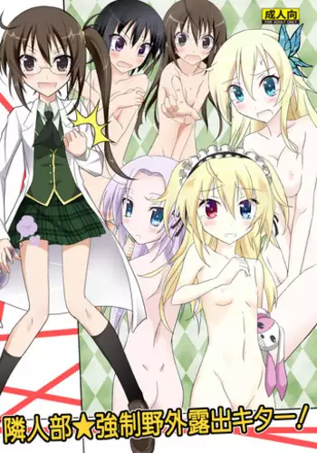 (C81) [Nihon Dandy (Matsuno Susumo)] Rinjinbu Kyousei Yagai Roshutsu Kitaa! (Boku wa Tomodachi ga Sukunai)