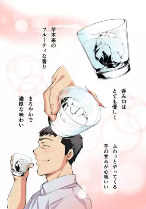 meshi han tora be ra zu hakata shuudan re pu ryokou fu ru ka ra ban