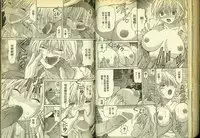 草莓100分 17