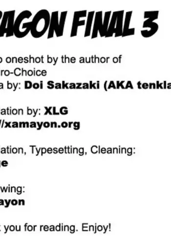 Dragon Final 3