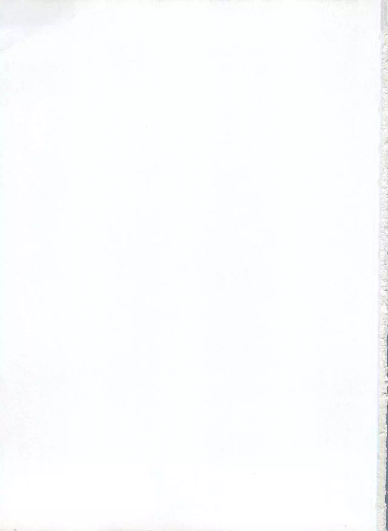 Kakumei F