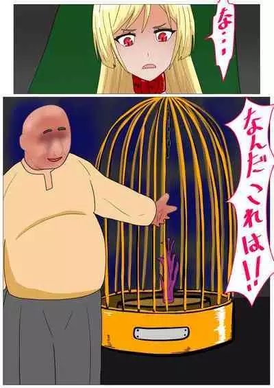 Aigan Ningyou ni Sareta Kyuketsu Hime