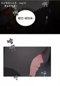 私生,爱到疯狂 完结