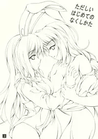 (C77) [Yappari Ao ga Suki (Uni-corn)] Tadashii Hajimete no Nakushikata (Touhou Project)