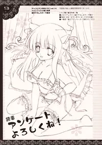 [Shigunyan (Shigunyan)] Shigukore 11 (Touhou Project)