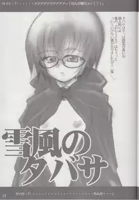 (C72) [FLAT&SLIT RACING (66)] SILENT VOICE (Zero no Tsukaima)