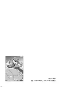 (Reitaisai 8) [Web Knight (Knight Satoshi)] Cyclone Memory (Touhou Project)