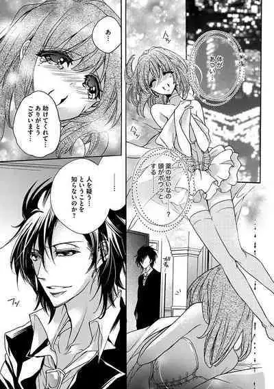 鬼畜兄弟の悶絶調教～私はいいなり奴隷～