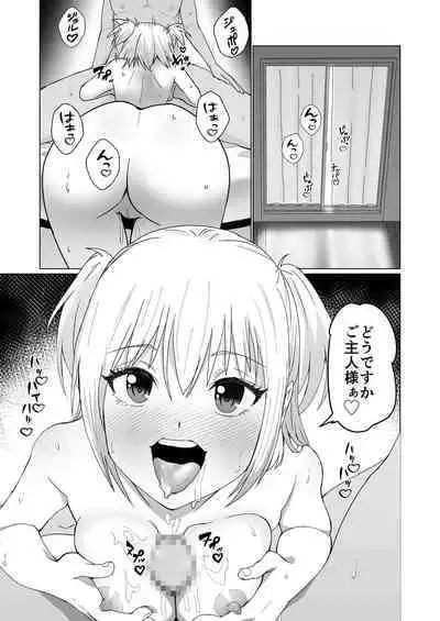 Okanemochi no Onnanoko o GET Shite Jibun Gonomi no Mesuinu ni Shitsukeru Hanashi.