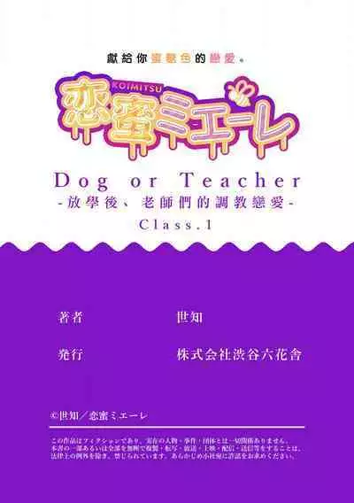 [Sechi] Dog or tīchā - hōkago, sensei-tachi no shitsuke ke ai - | Dog or Teacher-放学后，老师们的调教恋爱- Class.1-4 [Chinese] [莉赛特汉化组]