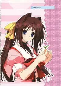 Primitive Link Visual Fanbook