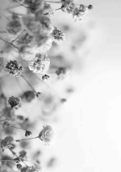 Ochi ￮ po Sukisuki Bicth-es