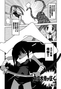 [Anthology] Sukumizu VS Bloomer - Fechikko VS Series round 1