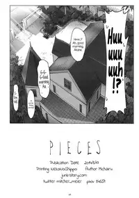 (C86) [JUNK STORY (Michairu)] PIECES (Vividred Operation) [English] =LWB=