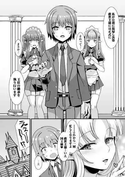 Oujo to Himekishi o Party de Rouraku shite Yotsugi o Tsukutte Boukoku o Sukuu Tame ni Harem Ecchi