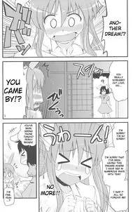 (Touhou Suukei Sai) [Shin Hijiridou Honpo (Hijiri Tsukasa)] Usagi no Miru Yume (Touhou Project) [English] [CGrascal]