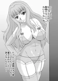 [Complete Box (Ayakawa Hisashi)] Sheryl-san niwa Mukanai Shokugyou - An Unsuitable Job for Sheryl (Macross Frontier) [Digital]