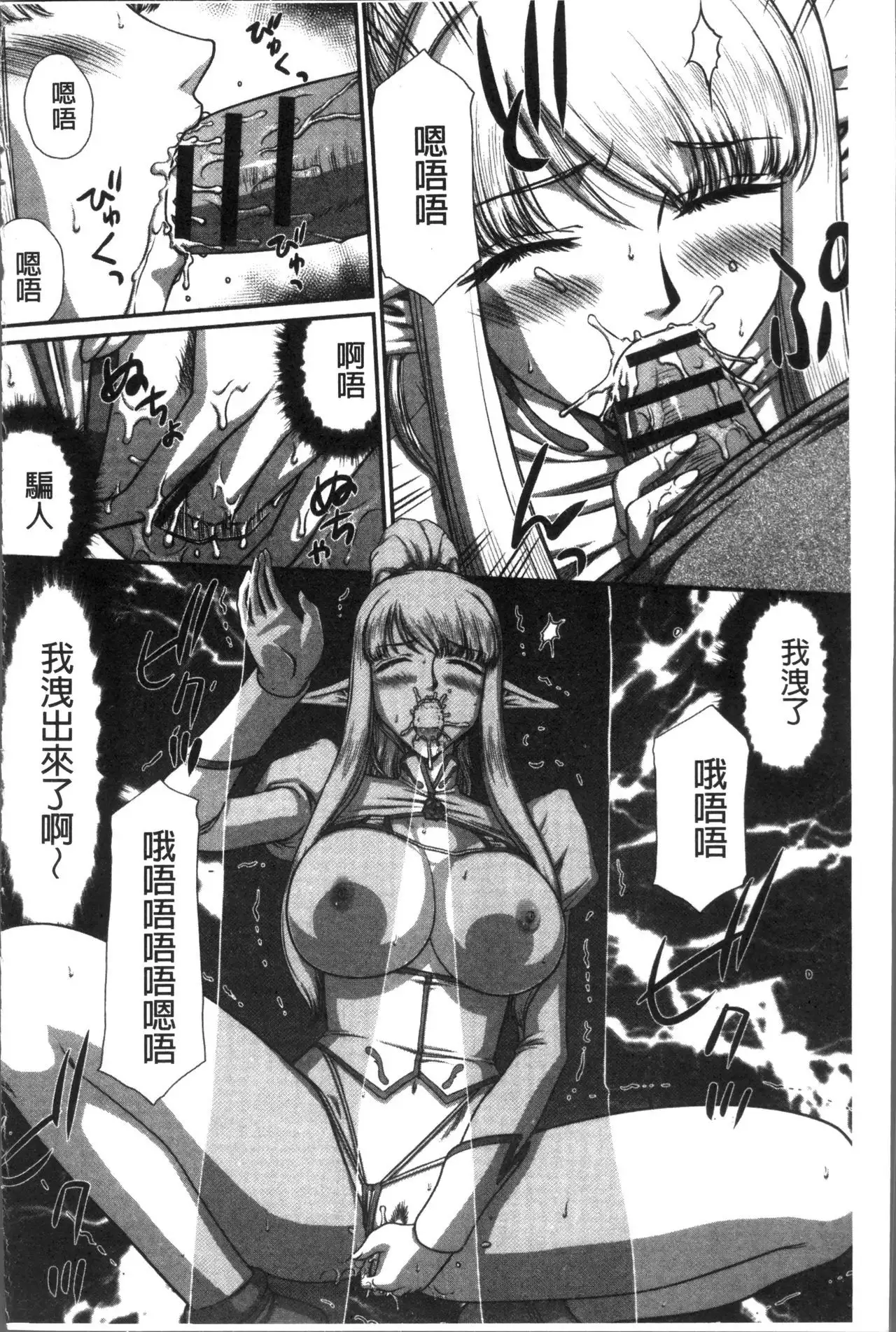 Inraku no Seijo Elvine