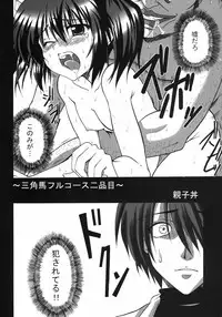 (C69) [Delta Horse (Matsugami Kurare)] Oyakodon (To Heart 2)