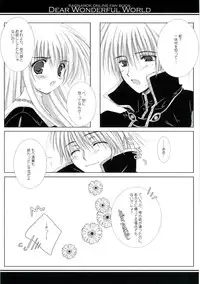 (C68) [A.L.C (Kannazuki Nem)] DEAR WONDERFUL WORLD (Ragnarok Online)