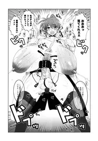 (C77) [HGH (HG Chagawa)] Pleated Gunner #20 Senshi no Himegoto (Mahou Shoujo Lyrical Nanoha)