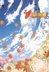 (Reitaisai 9) [Tsukiyomi (Porurin)] ShinreibyouVSTengu (Touhou Project)