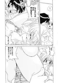 [Anthology] Hiyakeko VS Shimapanko - Fechikko VS Series Round 4