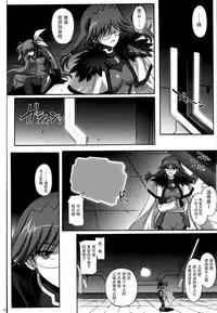 (COMIC1☆4) [Cyclone (Izumi, Reizei)] 667 KAI (Mahou Shoujo Lyrical Nanoha) [Chinese] [脸肿汉化组]
