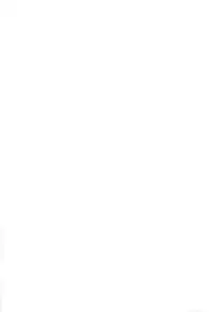 (C86) [Type-G, Studio Himawari (Himukai Kyousuke, Ishigaki Takashi)] UNISON [Lyrical ☆ Nanoha Goudoushi] (Mahou Shoujo Lyrical Nanoha) [Chinese] [无毒汉化组 ＆ 脸肿汉化组]