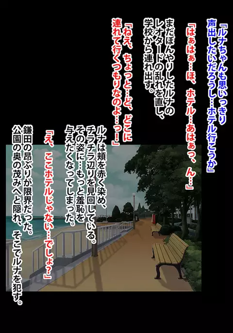 Idol Force Operation - Gaiden