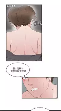 私生,爱到疯狂 完结