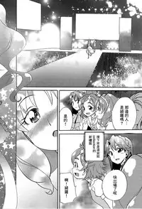 (C89) [OMOIDEHIROBA (Kurose Kousuke)] My Princess My Darling! (Go! Princess PreCure)[Chinese] [大友同好会]