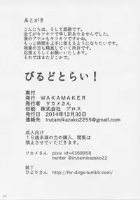 (C87) [wakamaker (wakamesan)] Build Try! (Gundam Build Fighters Try)