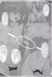 (C79) [WARP Co (45ACP)] Captive Rabbitl (Mahou Shoujo Lyrical Nanoha)
