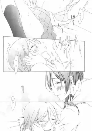 ペトリの朝に花束を