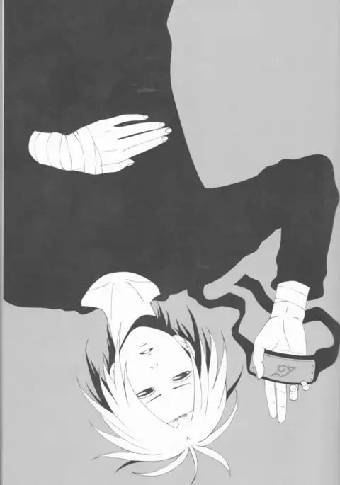 Dream passport )incomplete