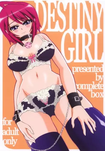 [Complete Box (Ayakawa Hisashi) DESTINY GIRL (Gundam SEED DESTINY) [English] {doujins.com} [Digital]