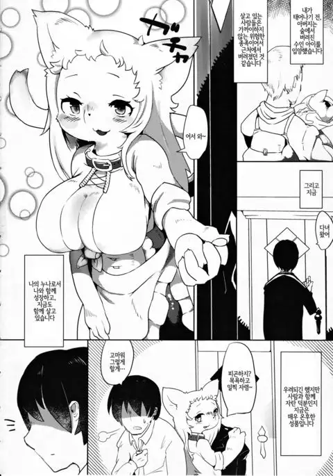 Onee-chan Multi Boot | 멀티 부팅 누나