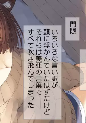 Ore no Kanojo ni wa Nekomimi ga Haeteiru